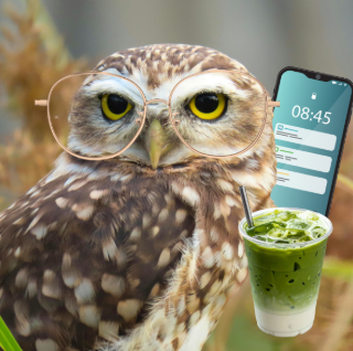Owl with glasses, smartphone, and a green smoothie.