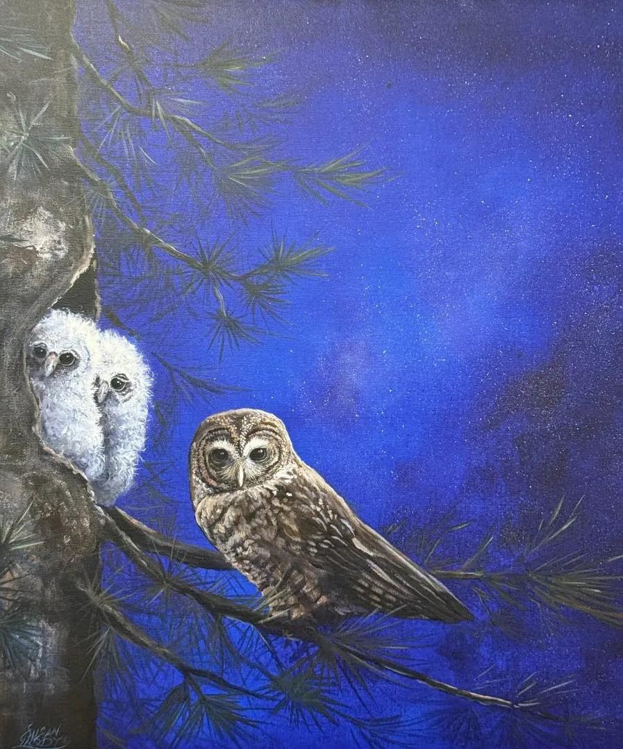 Owls perched on a tree against a starry blue night sky.