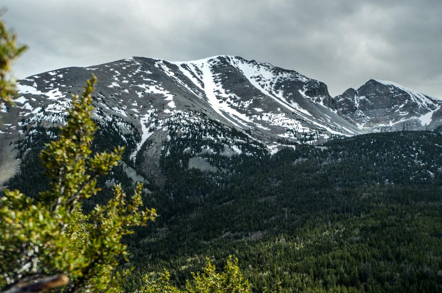 Snow-capped mountains under cloudy skies with green forest below.