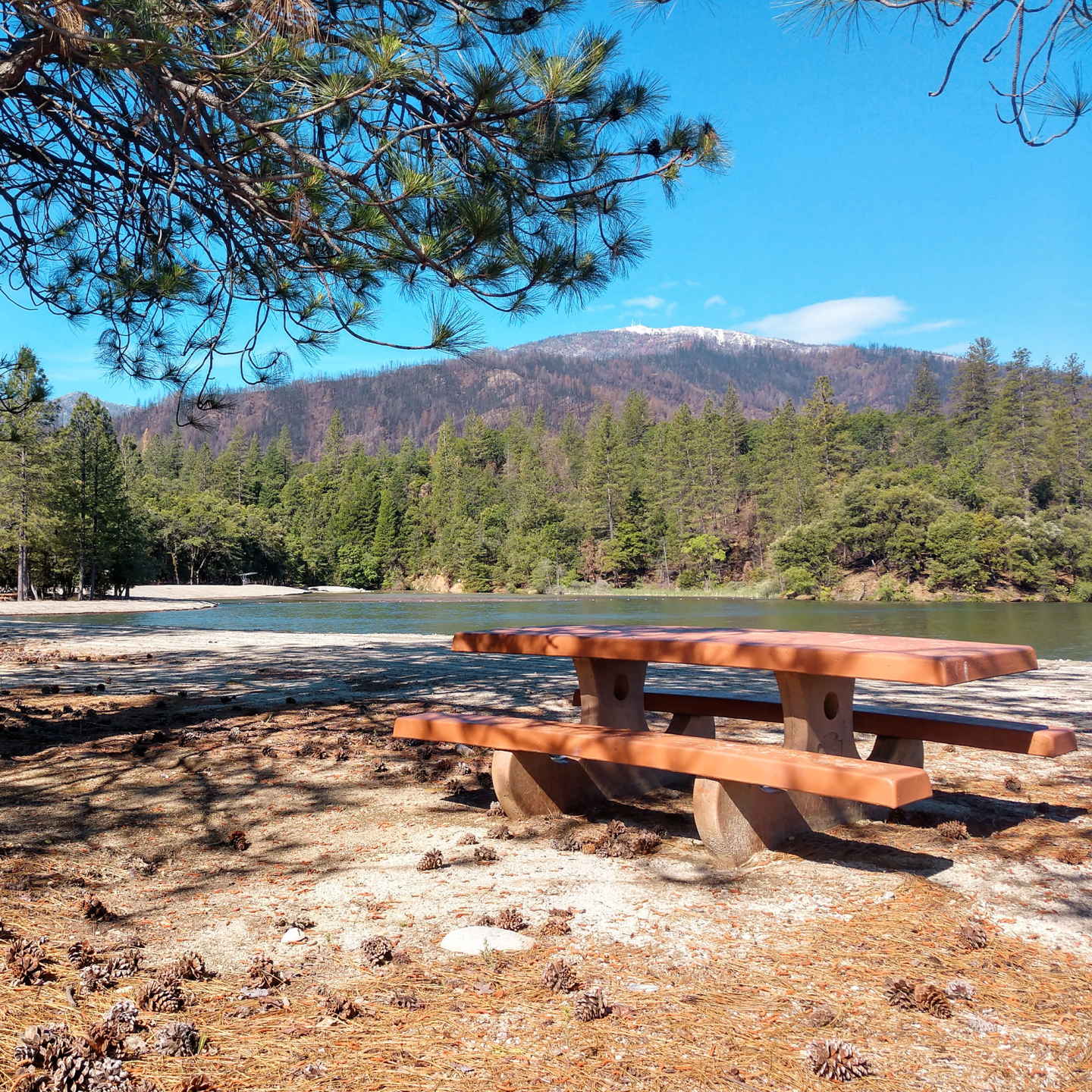 Wooden picnic table near a lake, surrounded by trees and mountains.