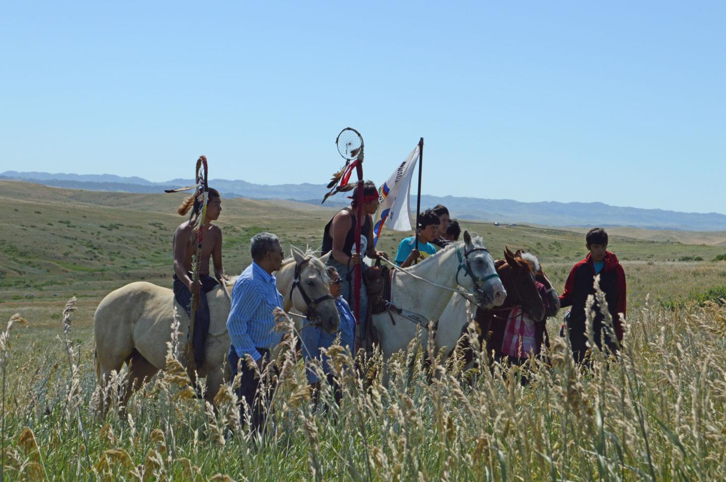 Group of people on horseback in a grassy field under a clear blue sky.