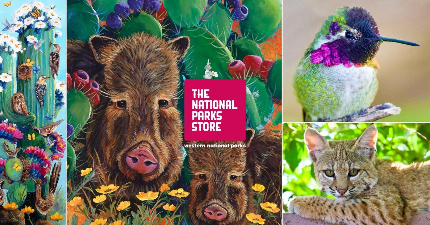 Colorful collage: javelinas in flowers, cactus with animals, hummingbird, and lounging cat.