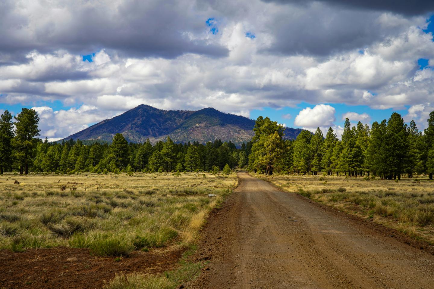 Dirt road through forest with cloudy sky and distant mountain.