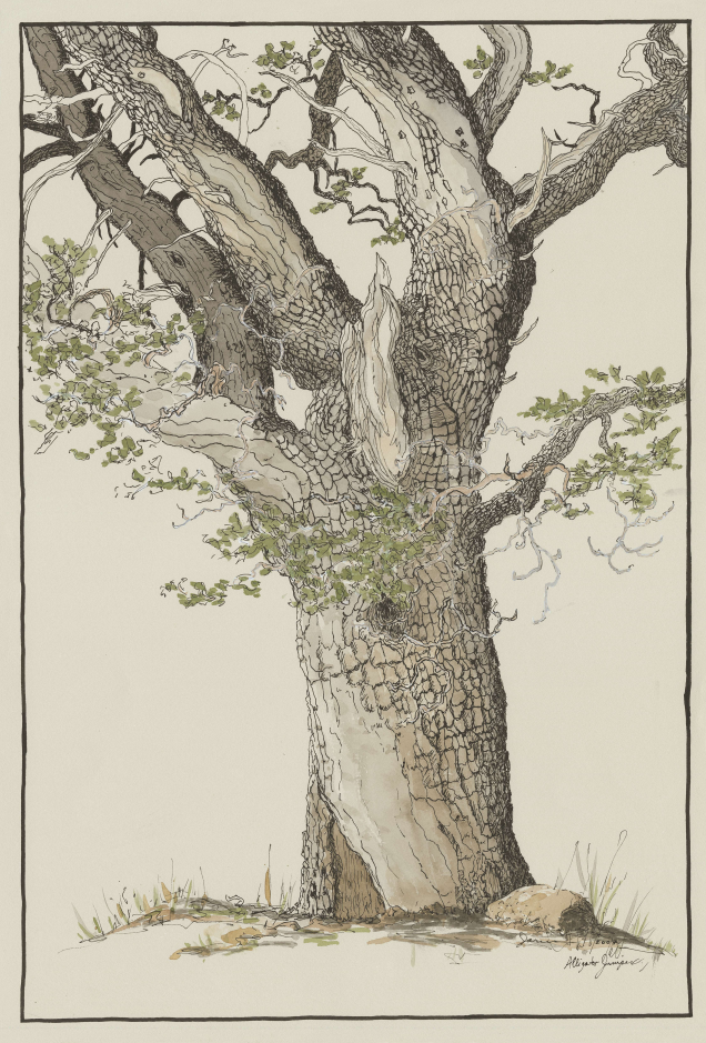 Illustration of a large, detailed tree with green leaves.