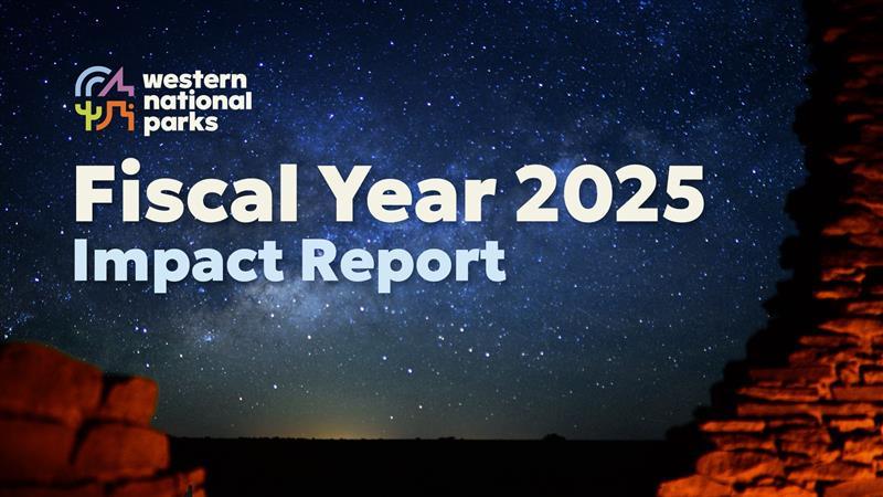 Starry night sky over a rocky landscape, text: Fiscal Year 2025 Impact Report.