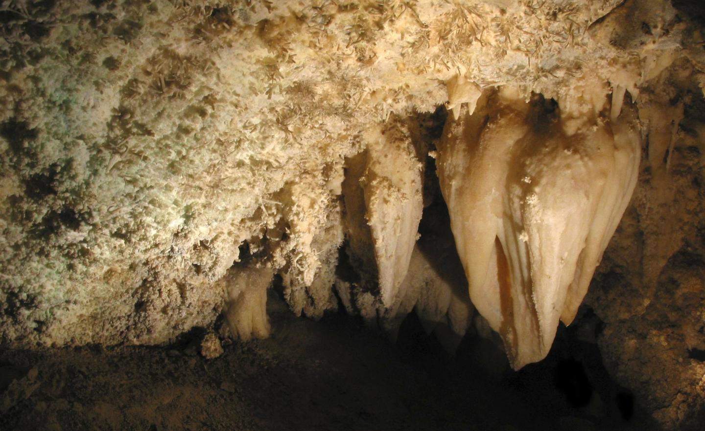 Stalactites hanging in a dimly lit cave ceiling.