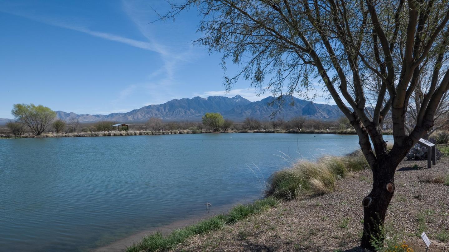 Lake with a tree in the foreground, mountains in the background under a clear blue sky.