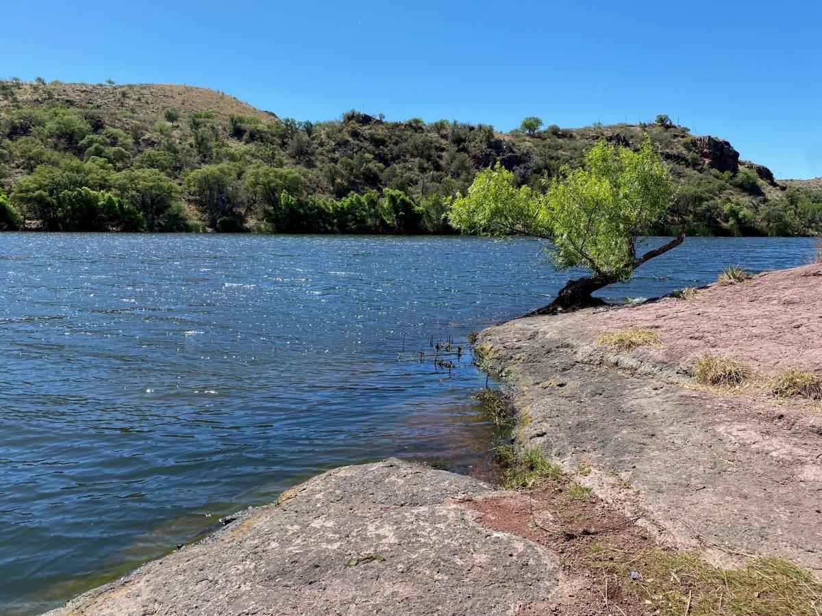 Rocky riverside with a single tree, calm water, and green hills under a clear blue sky.