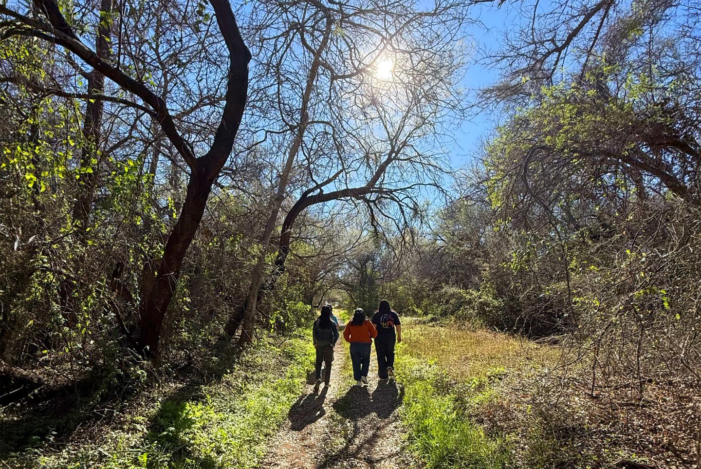 Three people walk on a sunlit forest path, surrounded by bare trees.