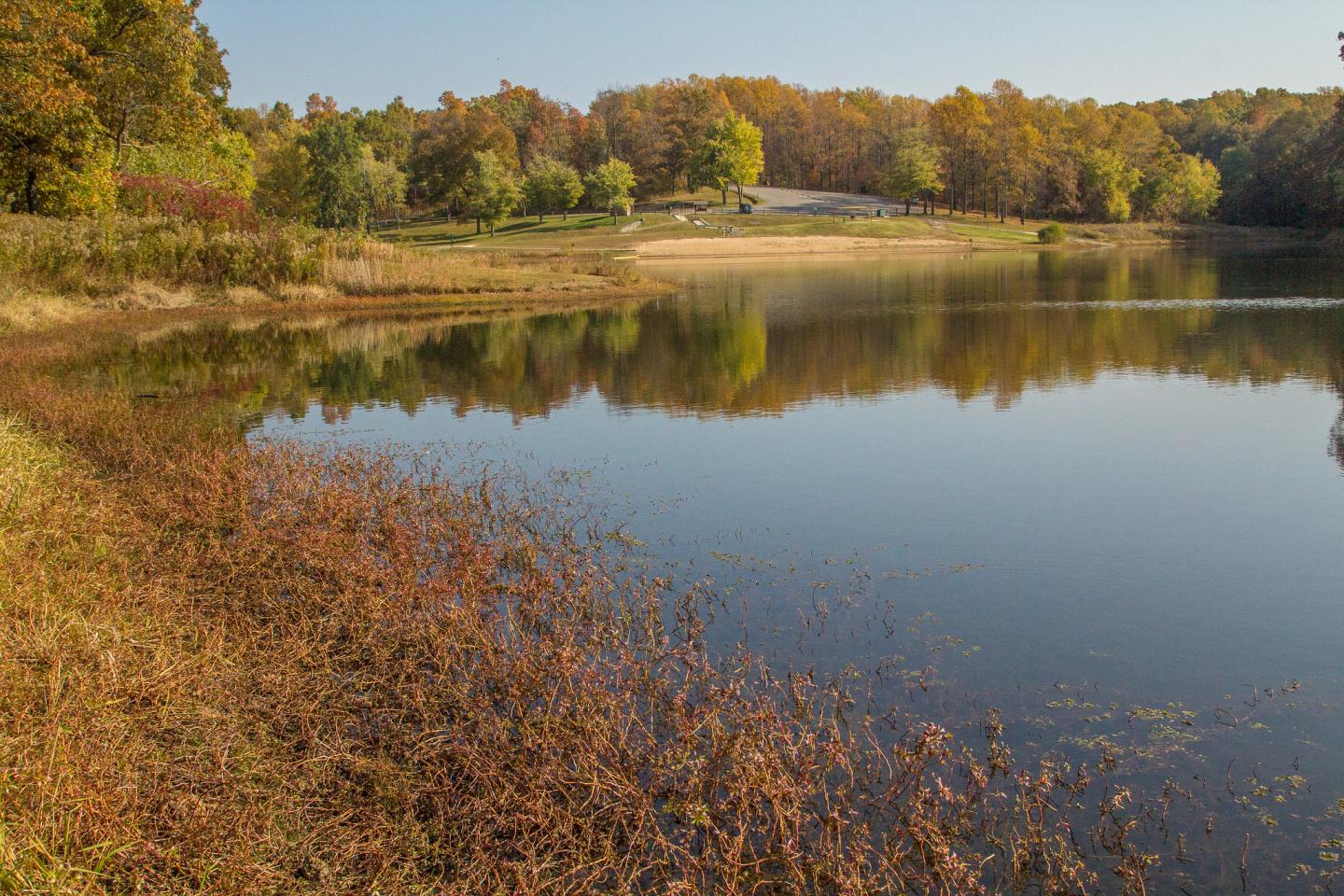 Calm lake reflecting autumn trees and blue sky, surrounded by colorful foliage.