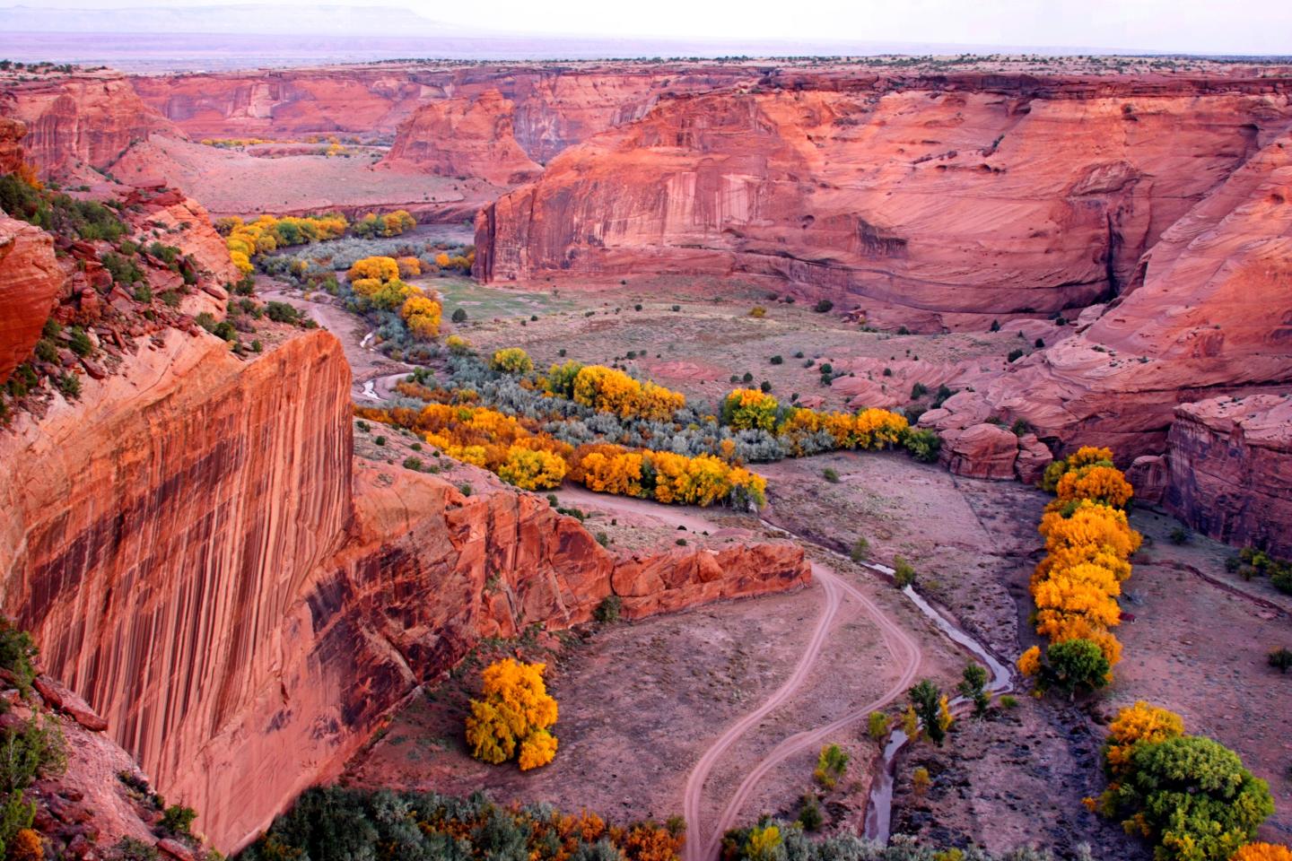Canyon landscape with red cliffs and a river lined by yellow autumn trees.