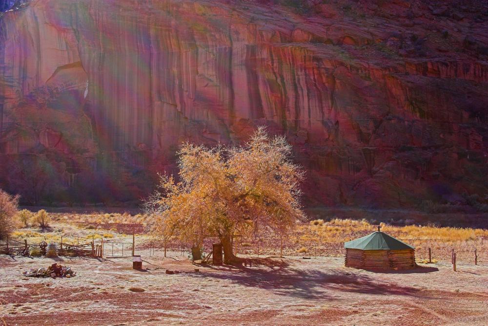 Desert landscape with a tree and small hut under colorful cliffs.