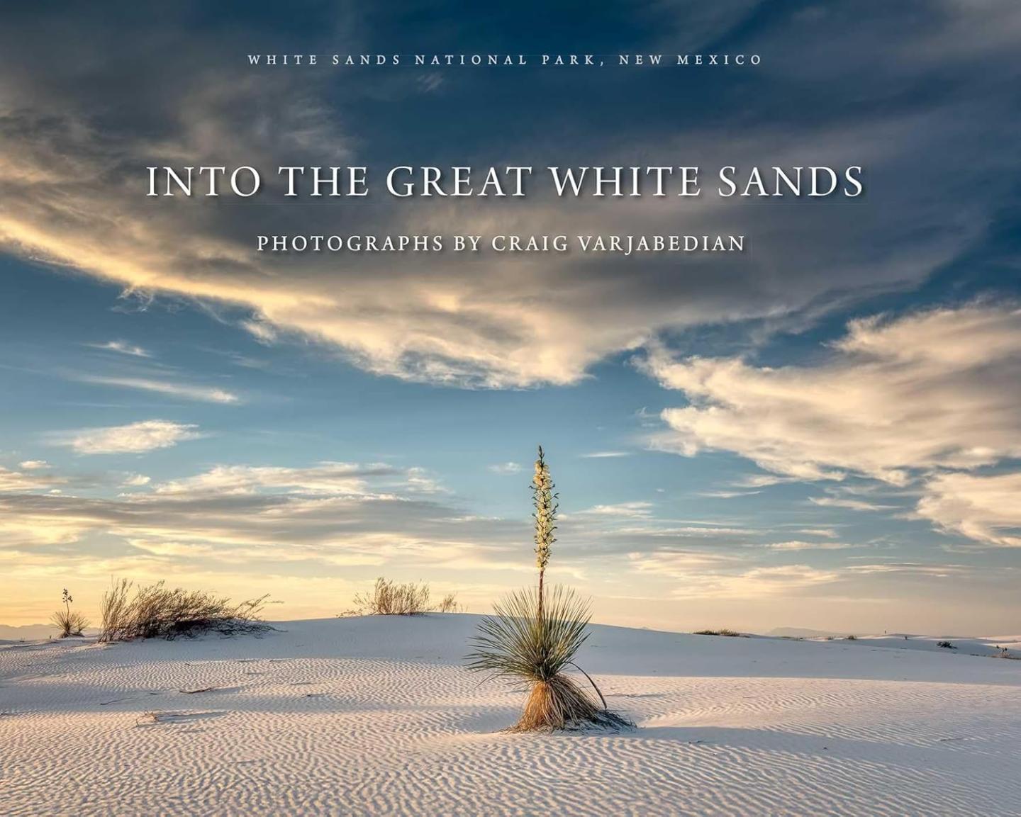 Desert landscape with white sand dunes and a plant under a cloudy sky.