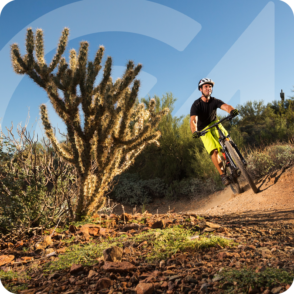 Cyclist riding on a desert trail near a cactus, under a clear blue sky.