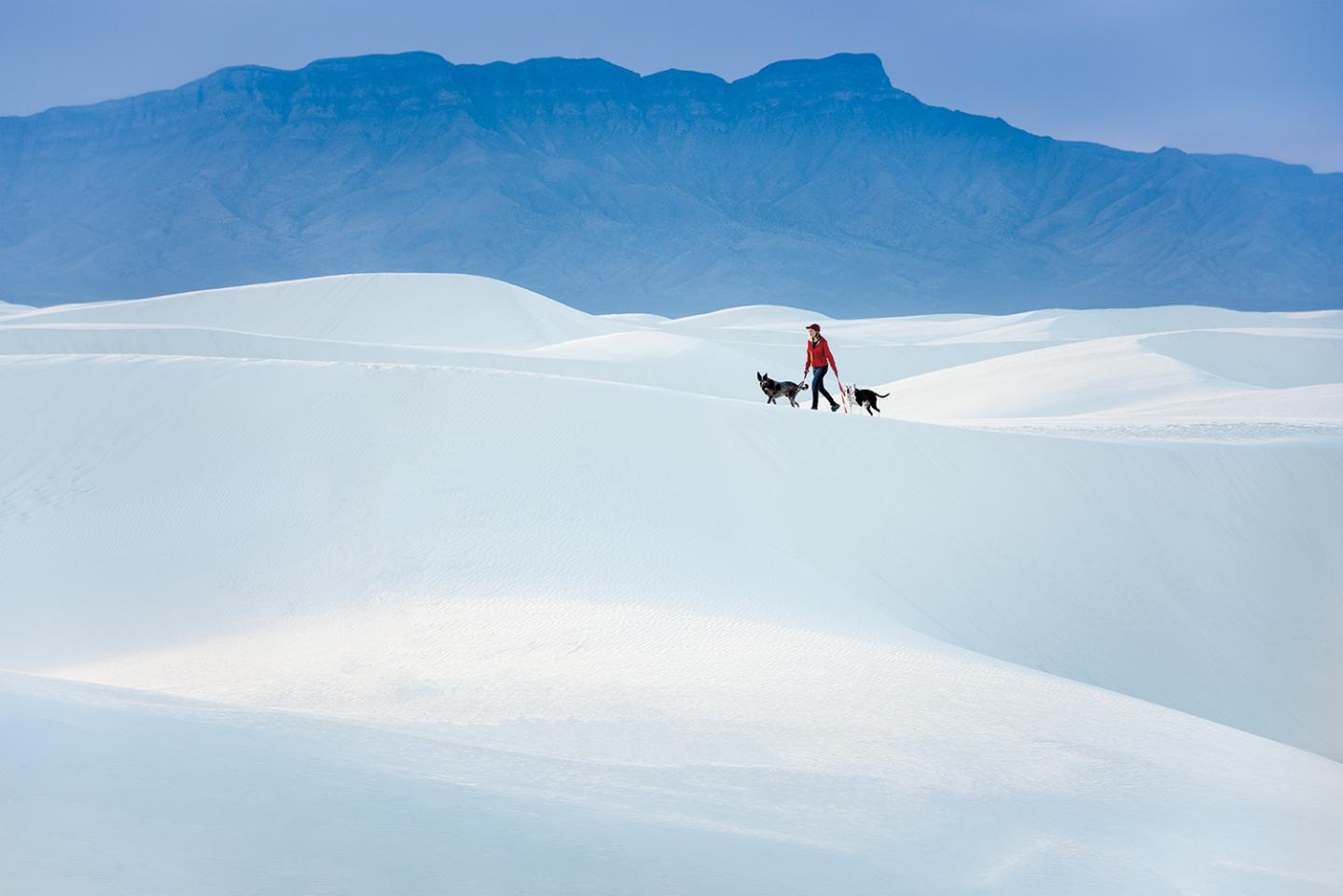 Person walking two dogs on white sand dunes with mountains in background.