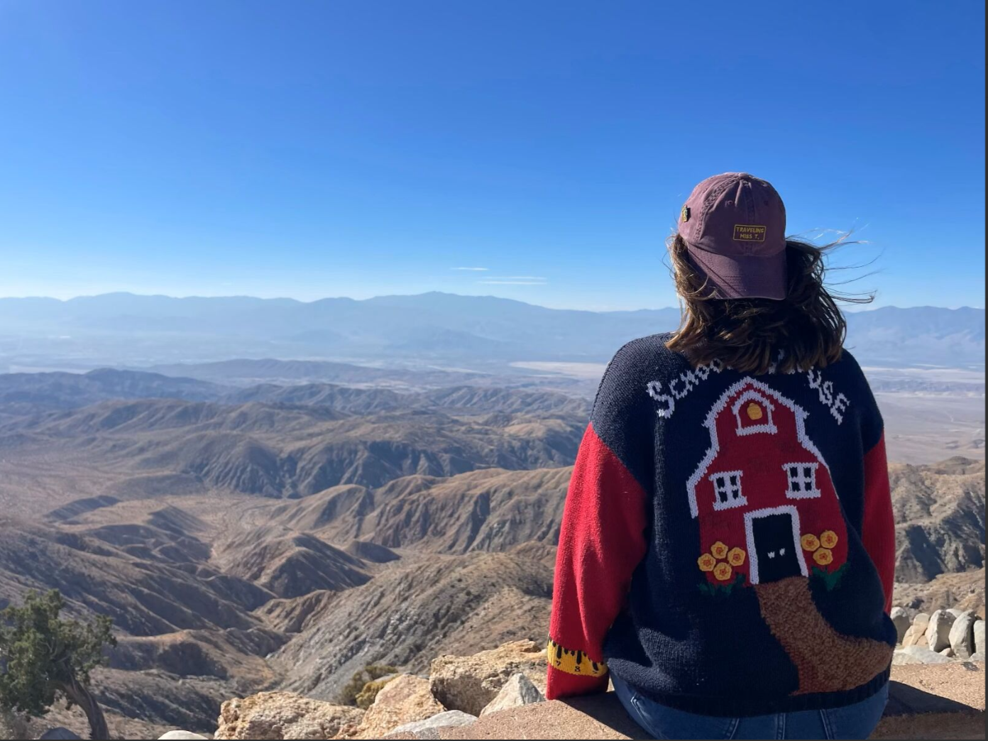 Person in cap and sweater overlooks vast, arid landscape under clear blue sky.