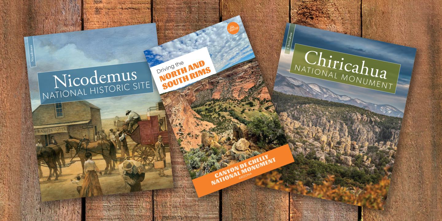 Three national park brochures on a wooden surface.