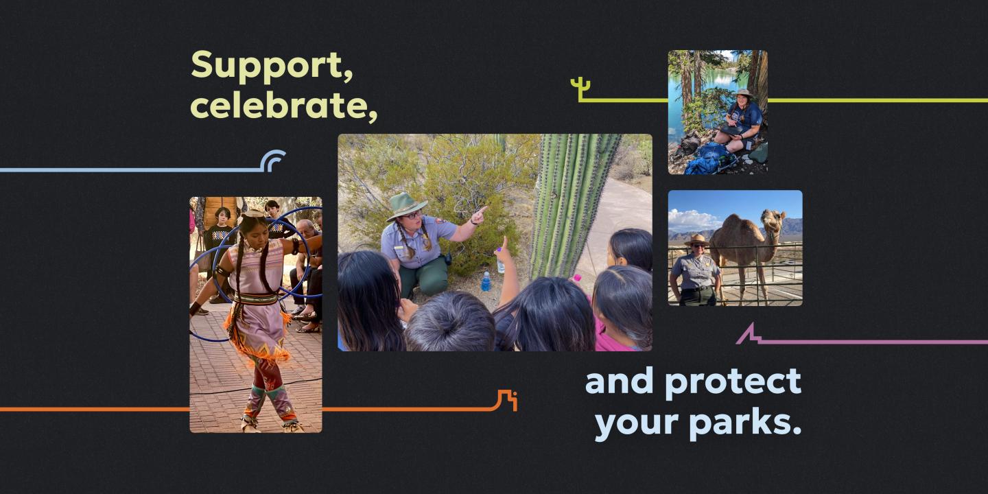 Collage of park activities: dancing, nature walk, camel ride.