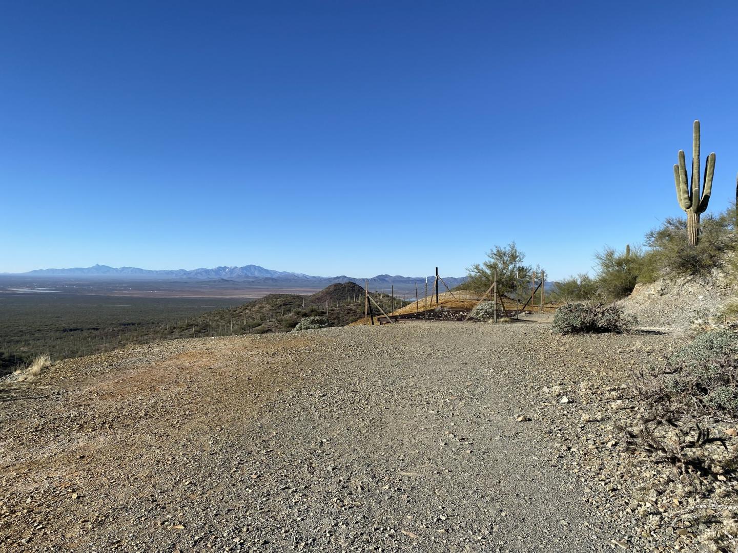 Desert path with distant mountains under a clear blue sky, cactus on the right.