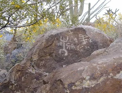 Rock with ancient petroglyphs in a desert landscape, surrounded by cacti and shrubs.