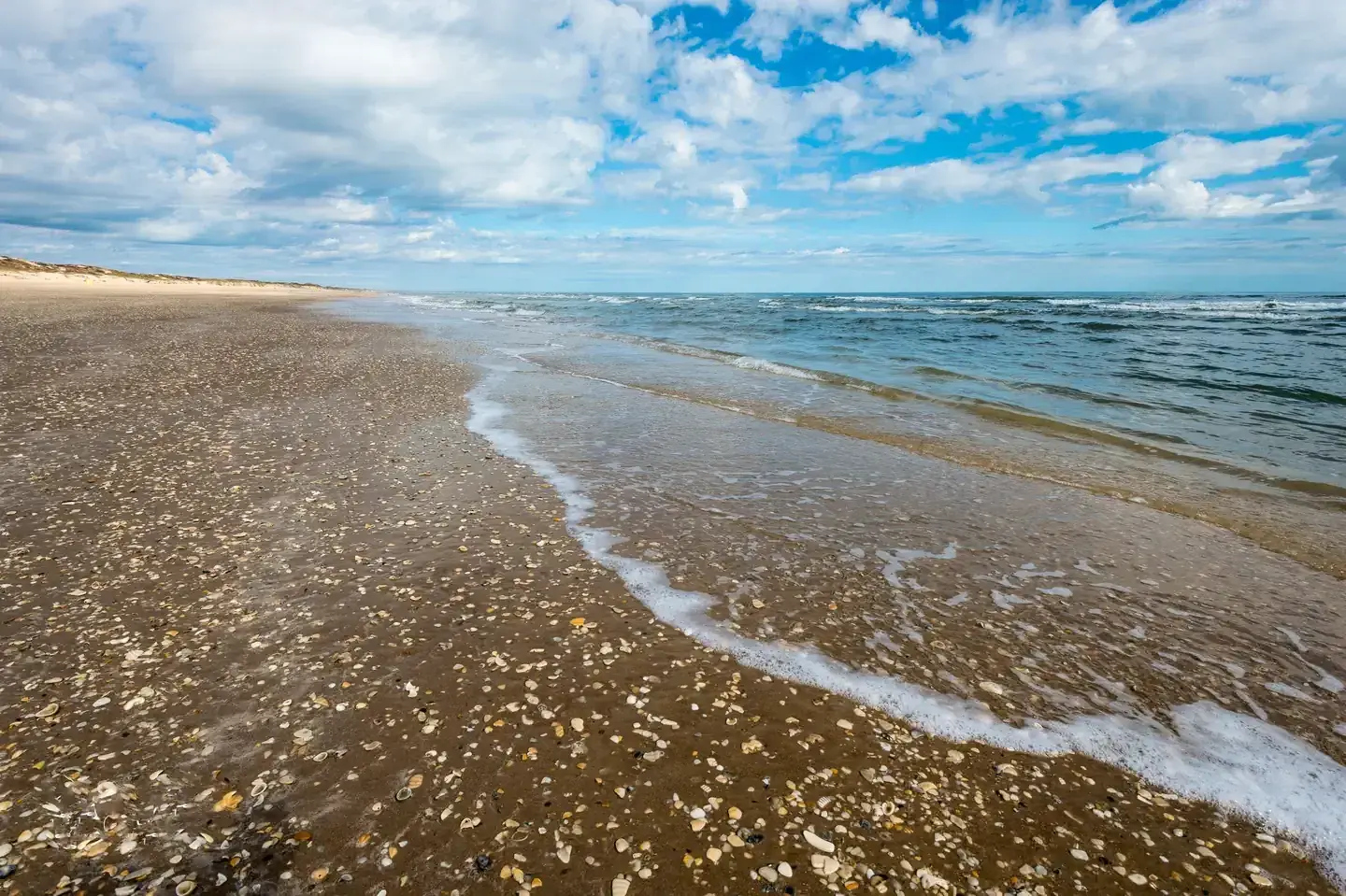 Sandy beach with shells, gentle waves, and a cloudy sky at Padre Island National Seashore.