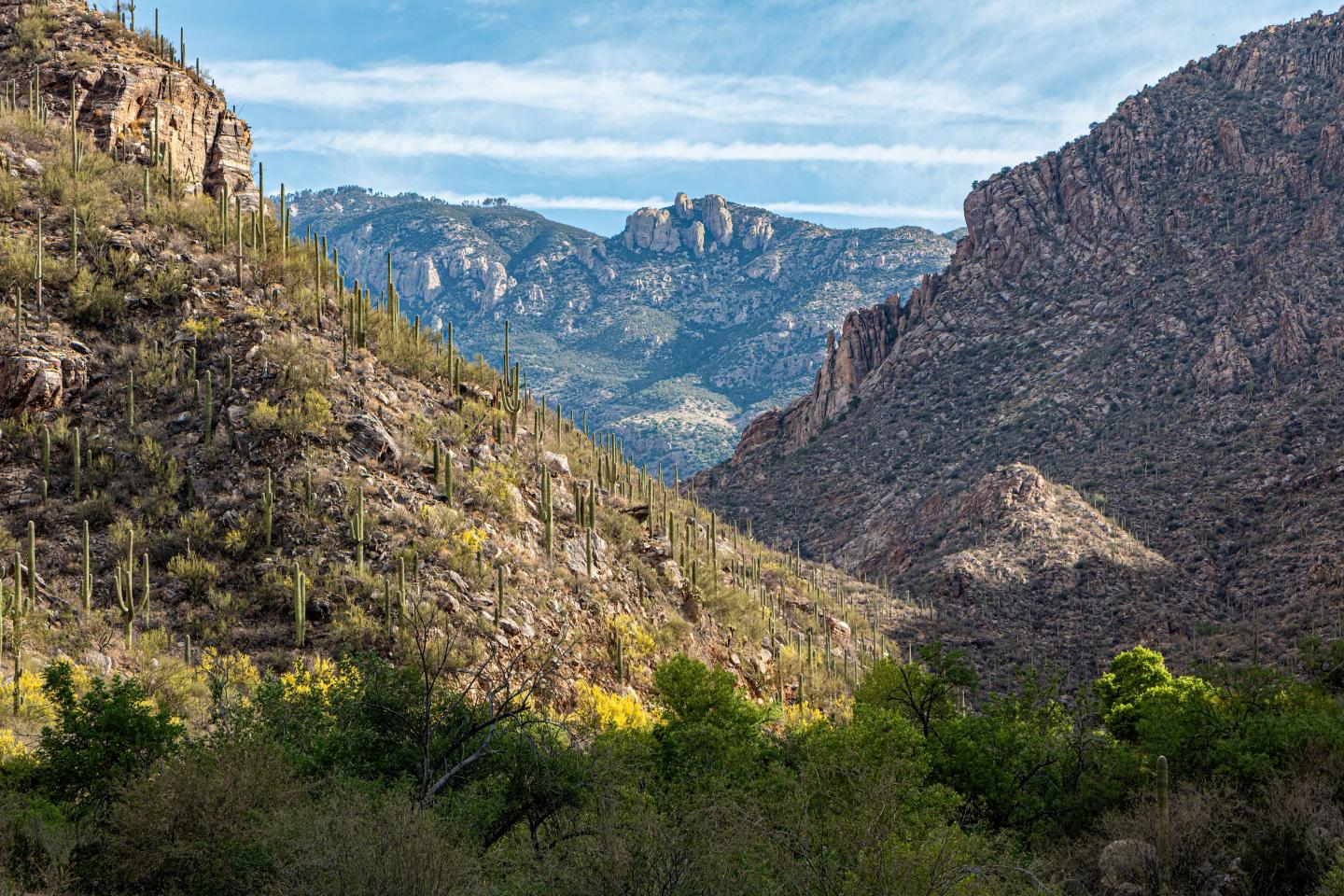 Desert canyon landscape with rugged mountains and blue sky.