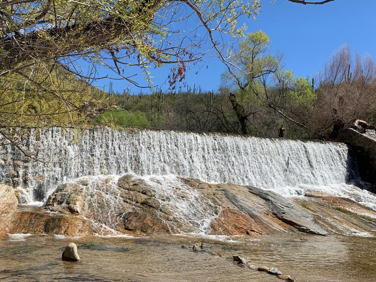 A waterfall flows over a rocky ledge under a clear blue sky.