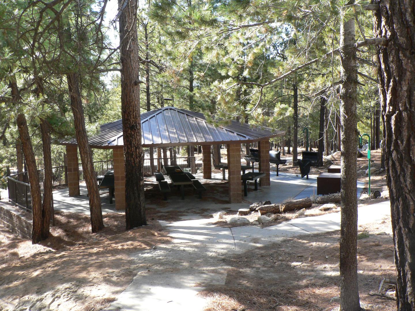 Outdoor pavilion at Whitetail Group Site in Coronado National Forest surrounded by pine trees in a forest setting.