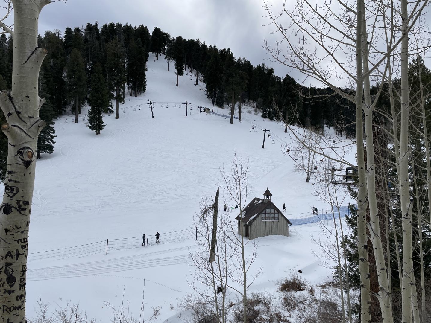 Snowy ski slope with trees and a small building on top of Mt. Lemmon..