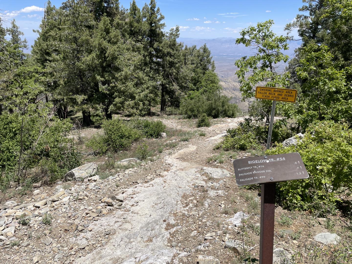 The Butterfly Trail in Coronado National Forest under a clear blue sky.