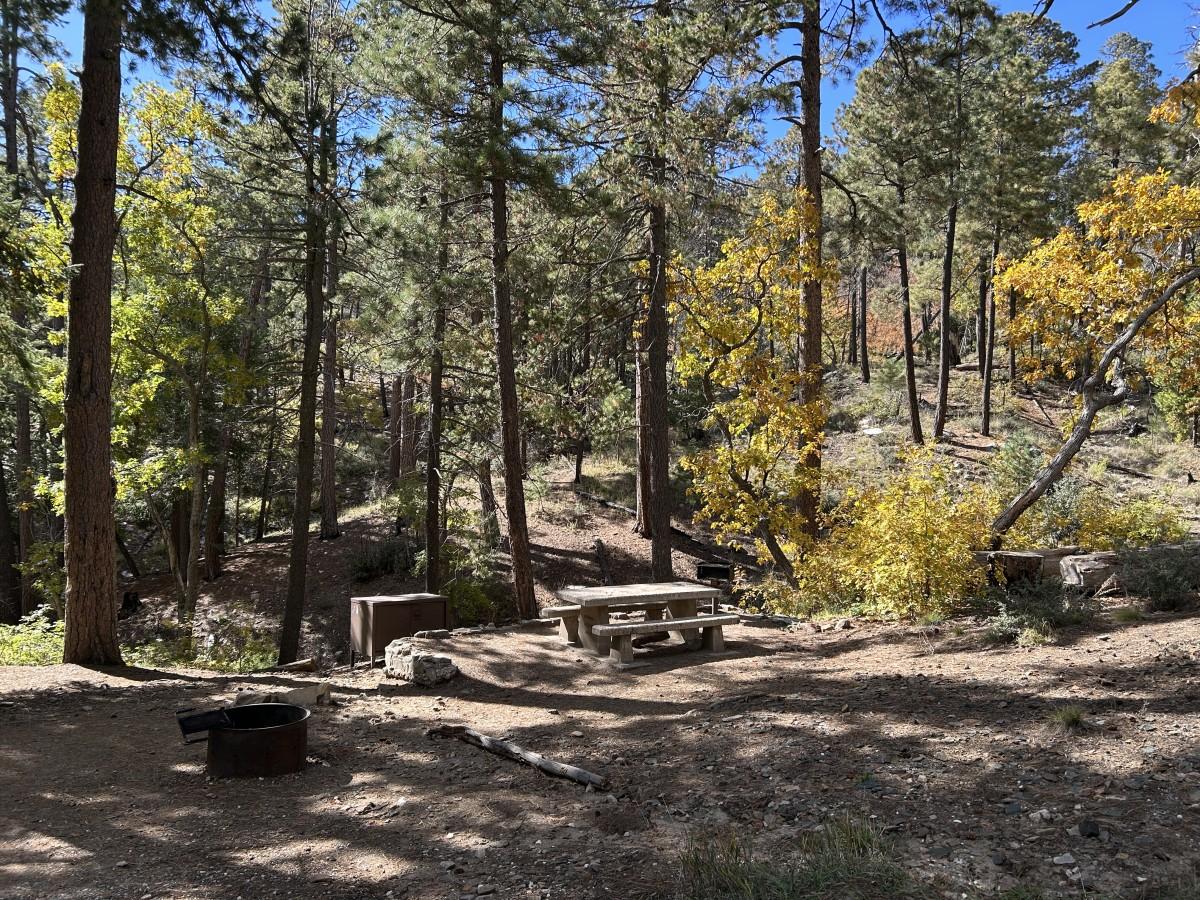 Forest campsite at Spencer Canyon Campground on Mt. Lemmon with picnic table and fire ring among tall trees.