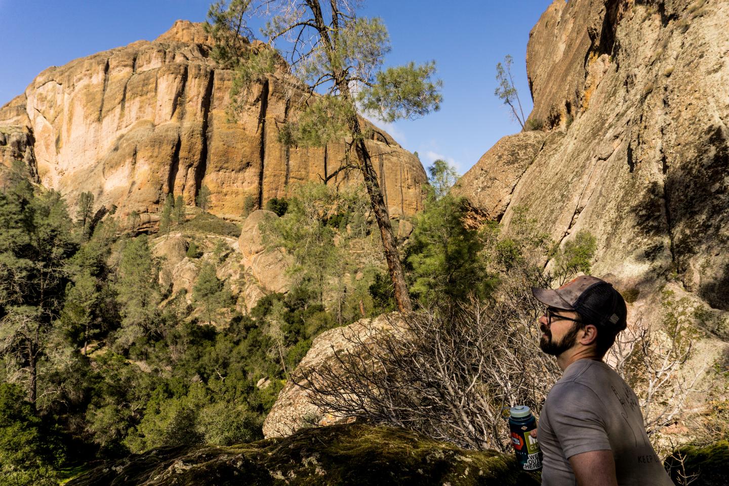 Man hiking through a rocky, forested landscape under a clear blue sky.