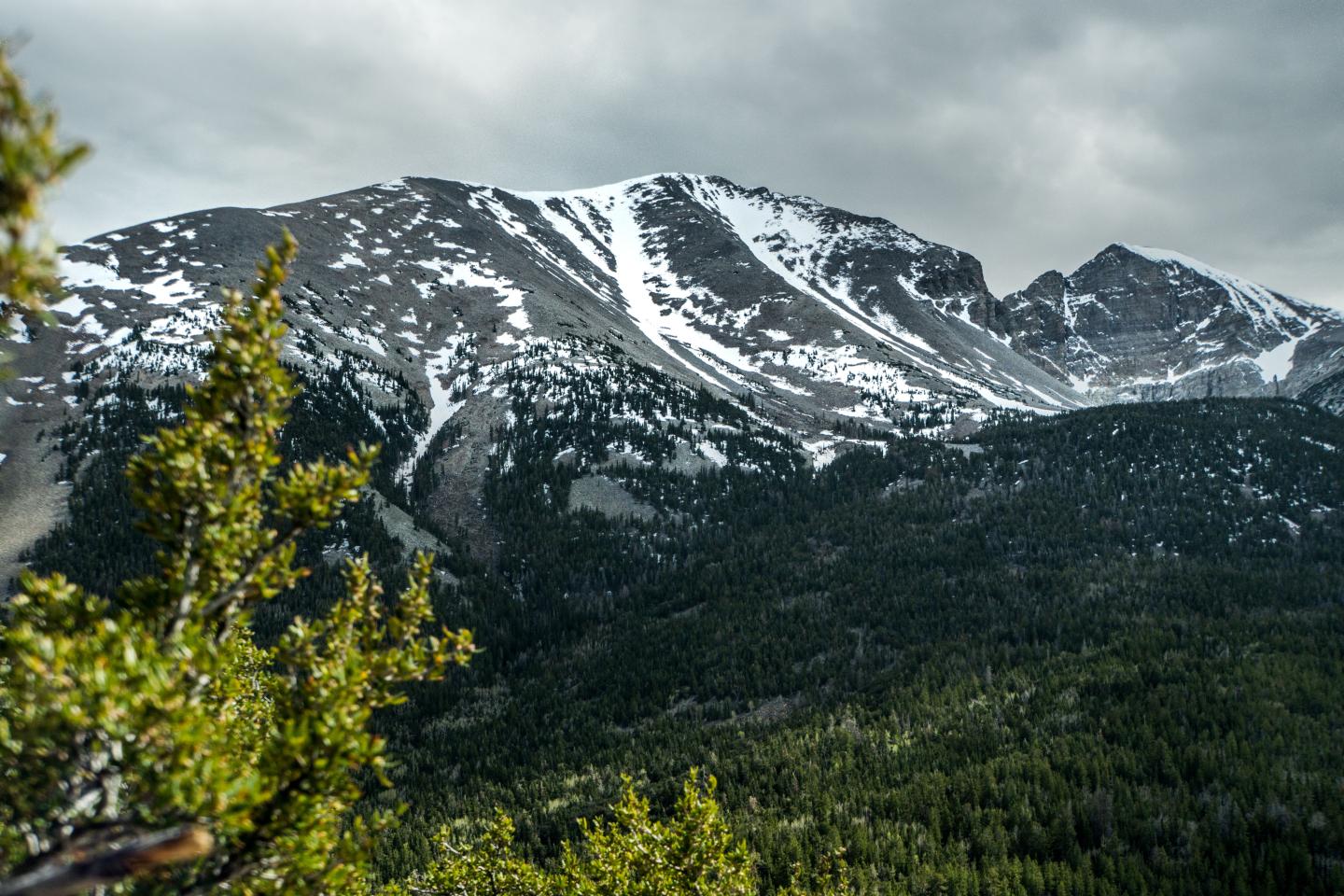 Snow-dusted Wheeler Peak summit view under cloudy skies, with trees in the foreground.