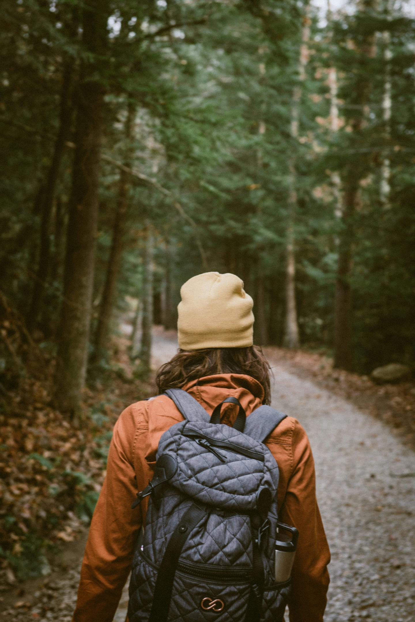 Person with backpack walking on a forest trail.