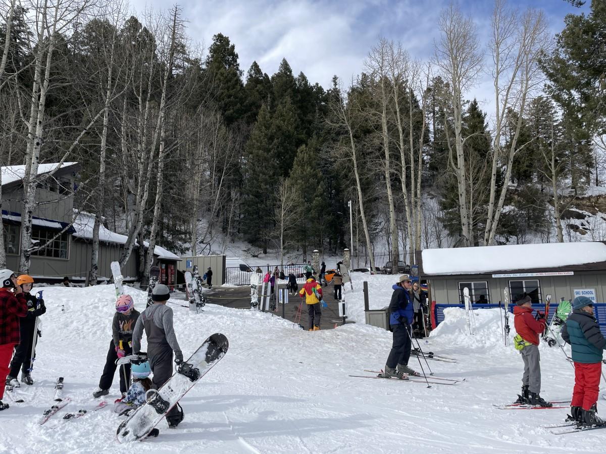 Skiers preparing on a snowy slope with trees and a clear sky.