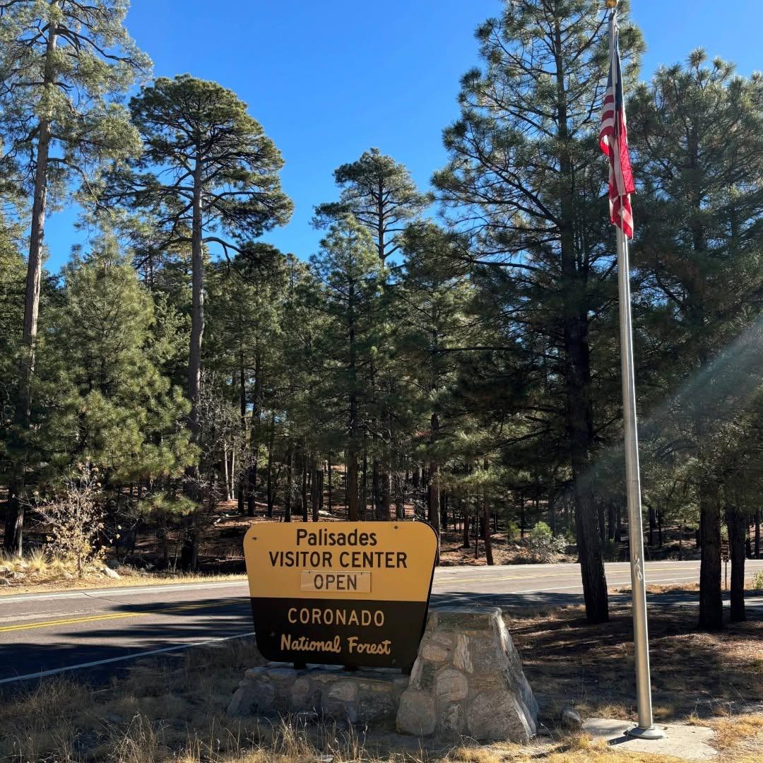 Visitor center sign among tall pine trees, with a flagpole nearby.
