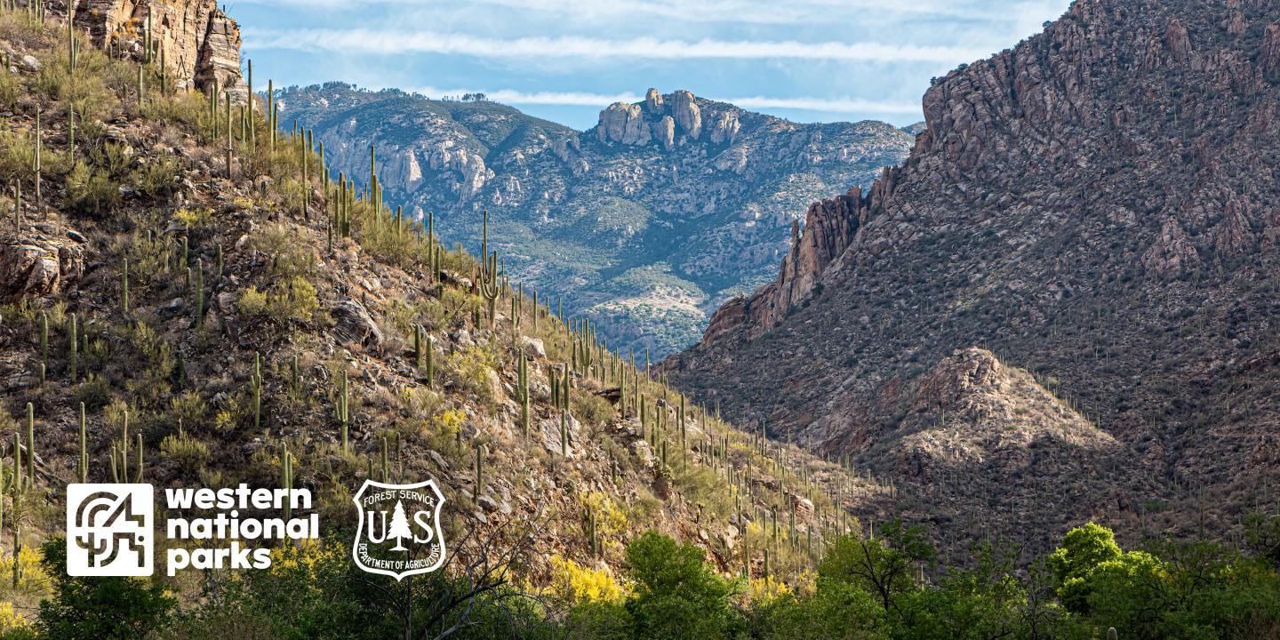 Mountainous landscape with rugged cliffs, cacti, and a distant view of peaks under a blue sky.
