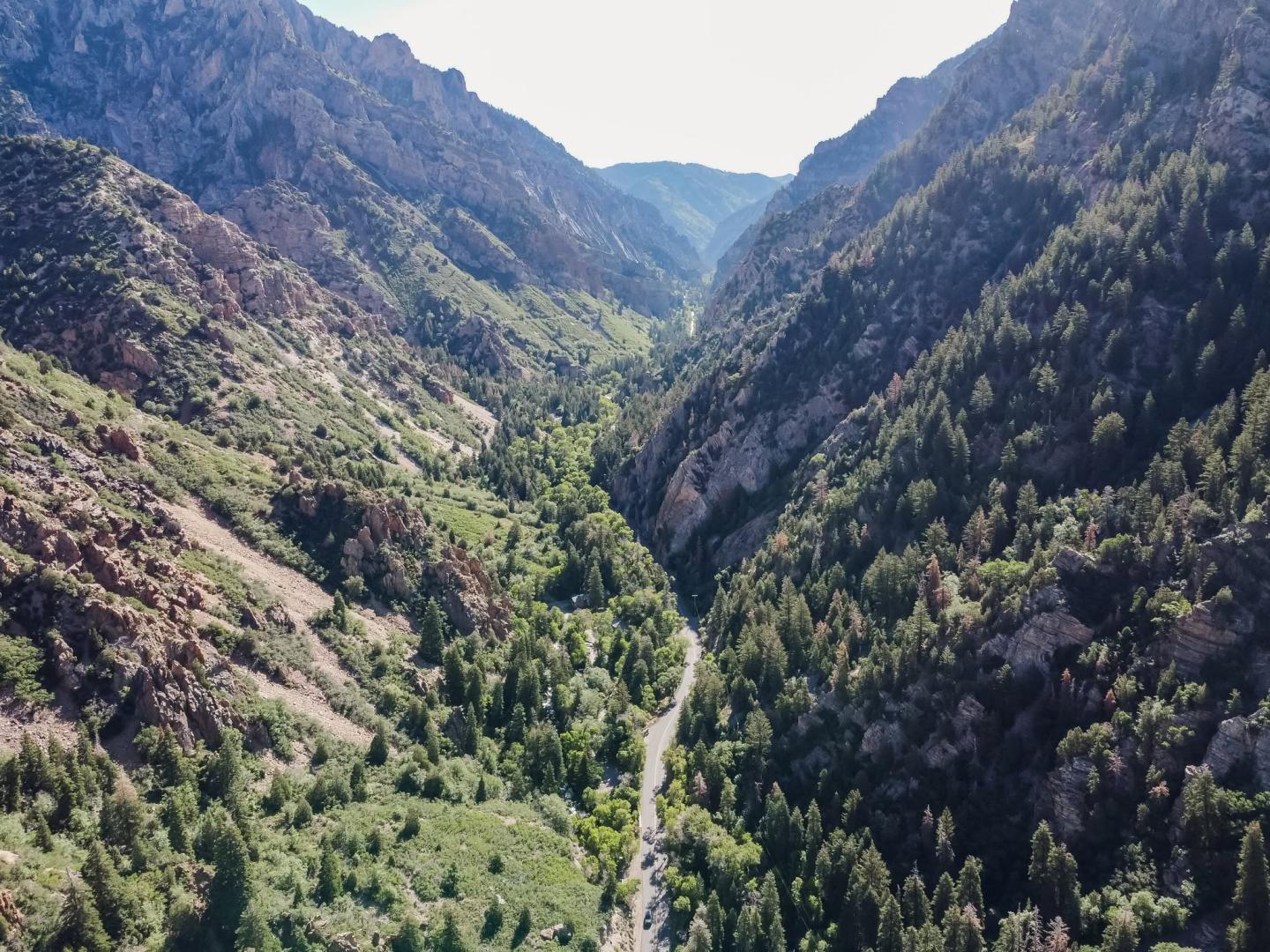 Aerial view of a lush green valley bordered by steep mountains.