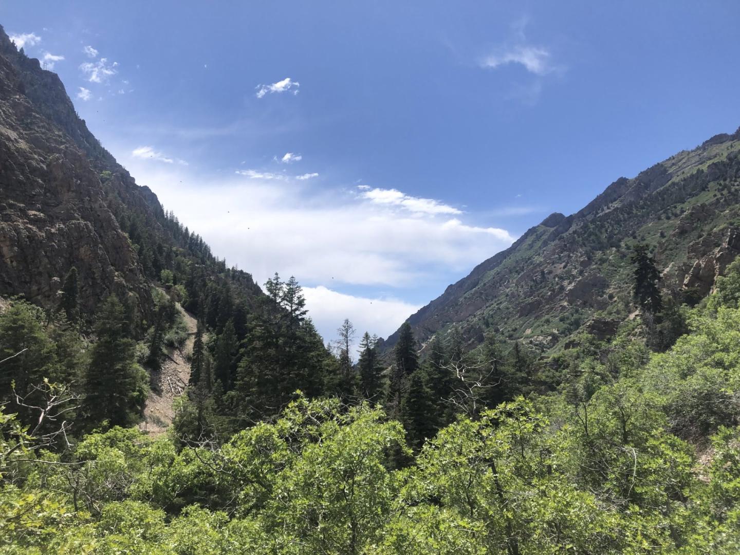 Mountain valley with lush greenery and clear blue sky.