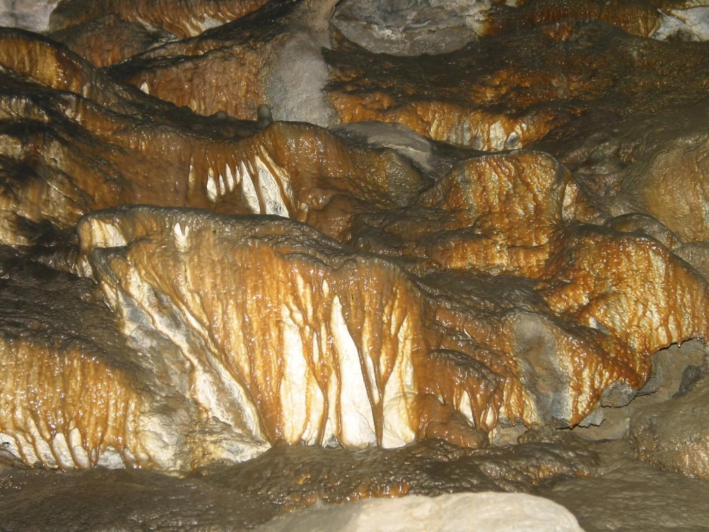 Golden-brown stalactites and stalagmites in a dimly lit cave.