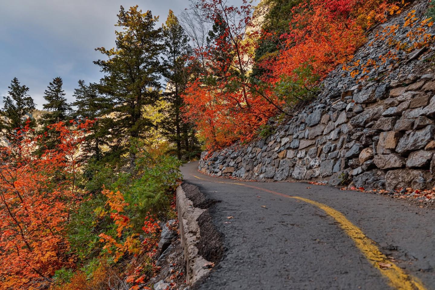 Curved path through vibrant autumn forest with stone wall.