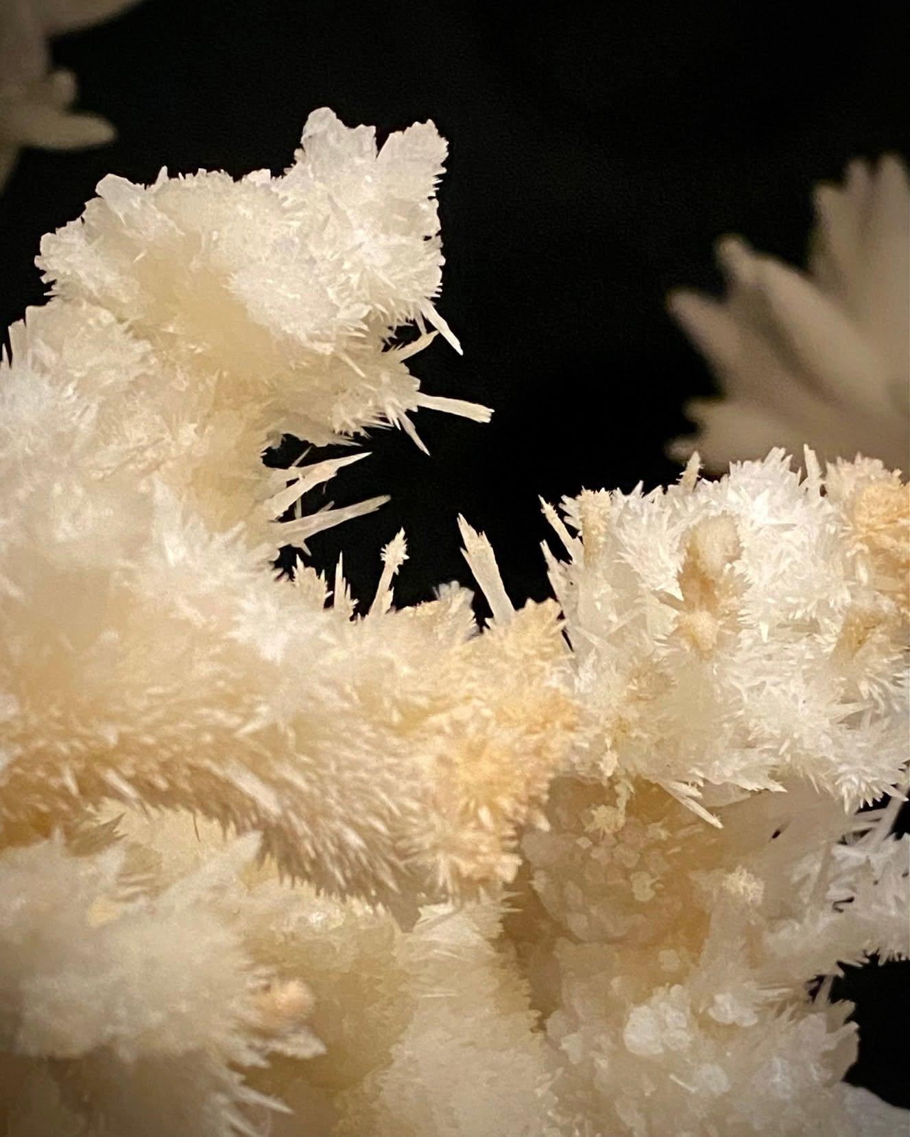 White crystalline cave formation against a dark background.