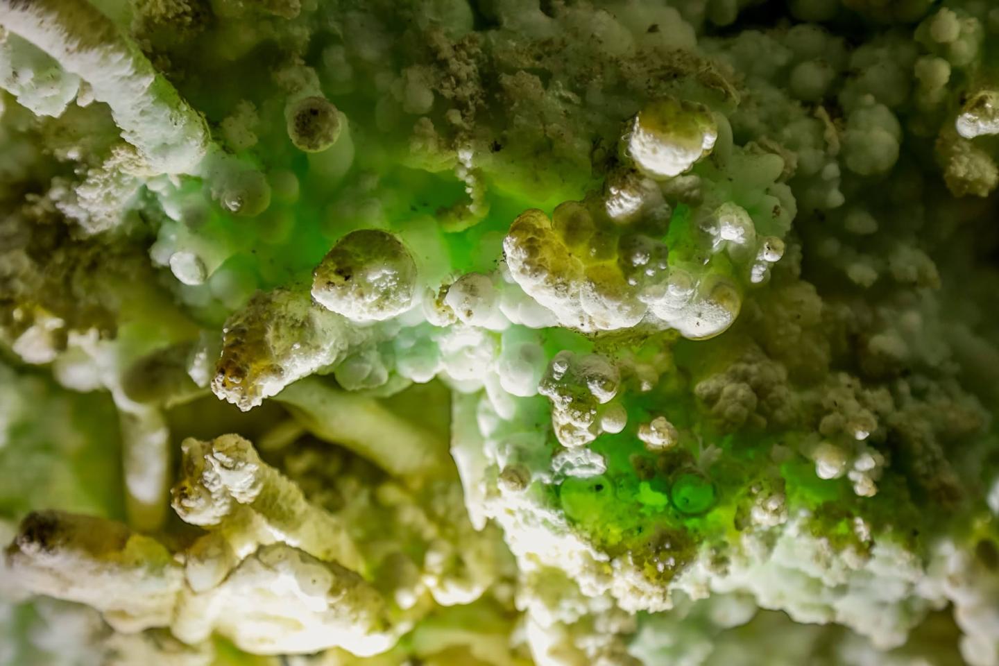 Green and white mineral formations, with textured surfaces and organic shapes.