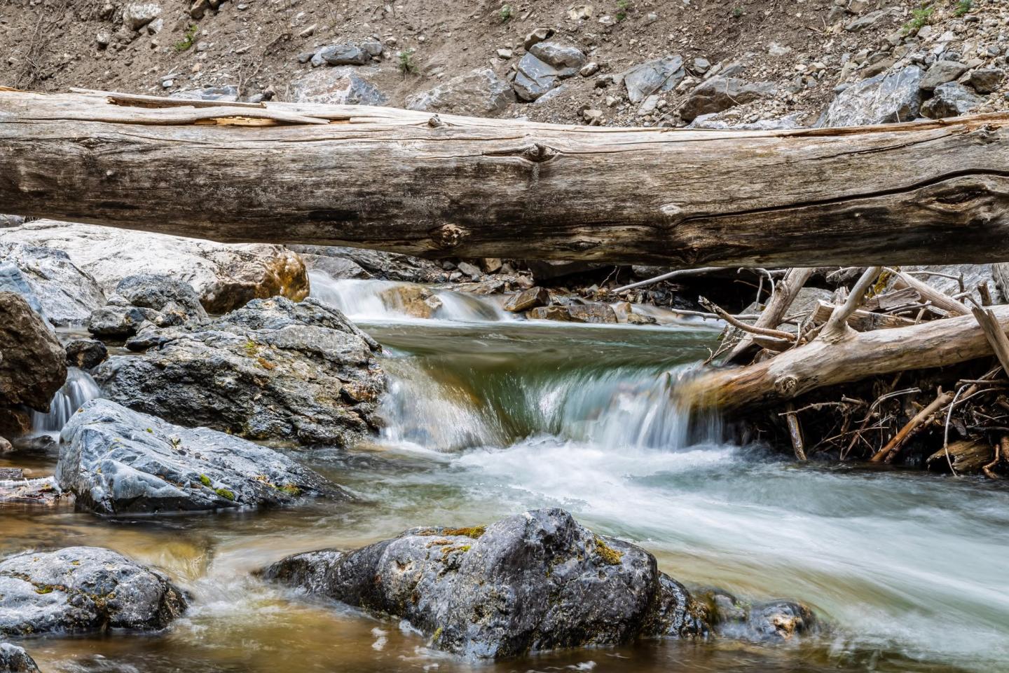Stream flowing under a fallen log surrounded by rocks.