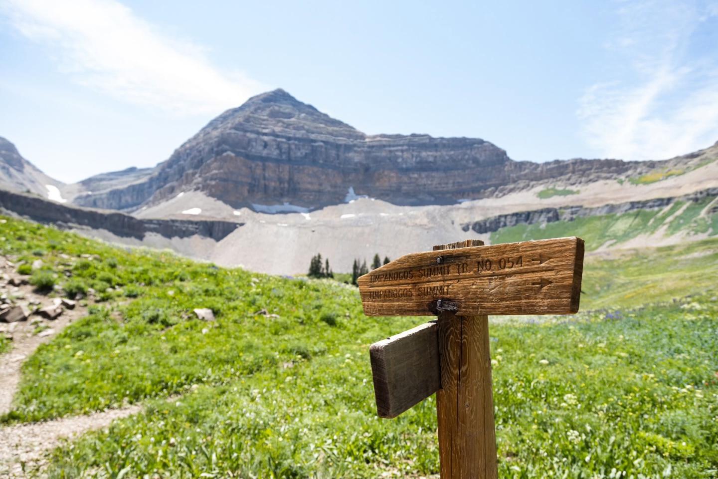 Wooden trail sign in a grassy mountain valley under a blue sky.
