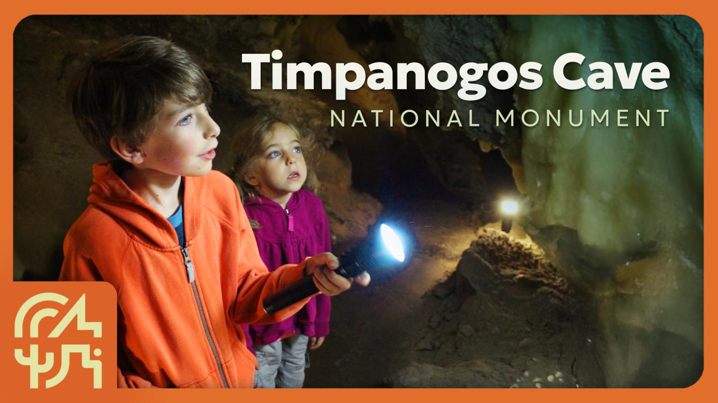Two children exploring a dimly lit cave with flashlights.