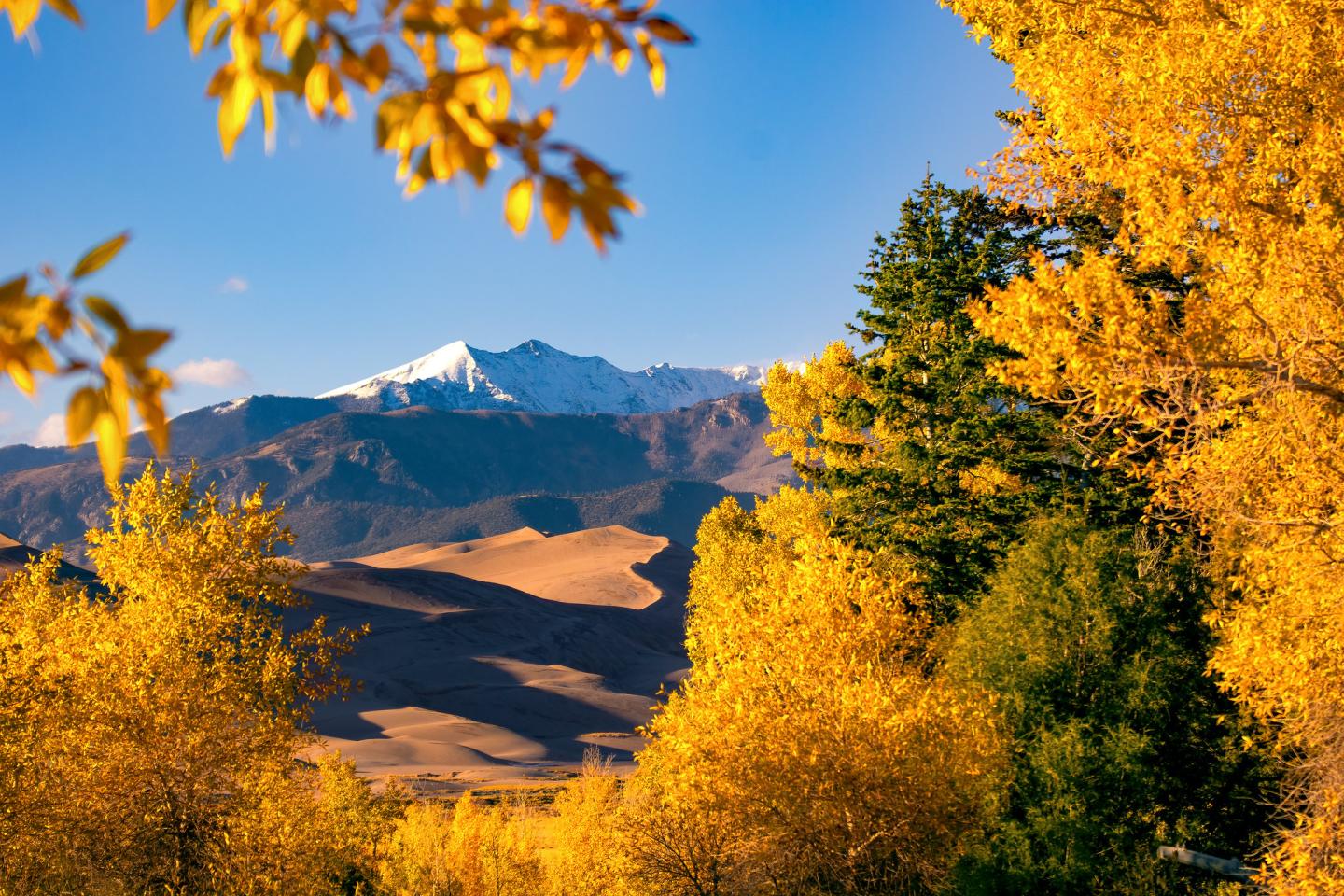 Snowy mountain in Great Sand Dunes National Park framed by vibrant autumn trees under a clear blue sky.