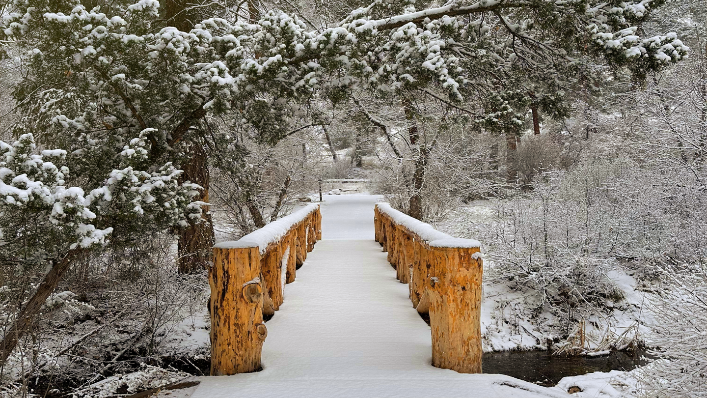 Snow-covered wooden bridge in a forest, bordered by snow-laden trees.