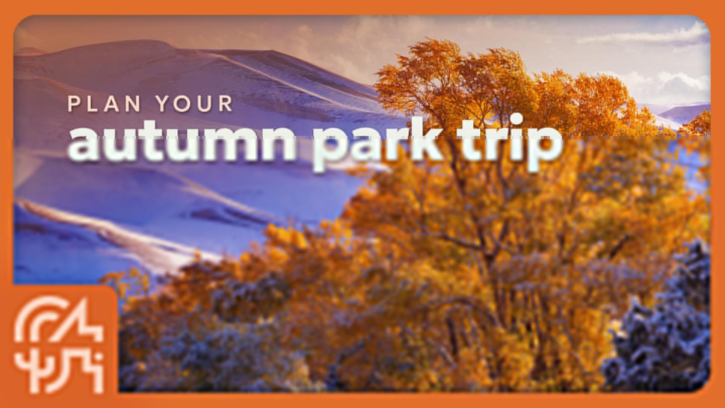 Autumn landscape with colorful trees and mountains in the background.
