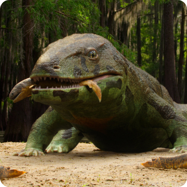 Large reptile eating a fish on a beach in the foreground with in a forest in the background